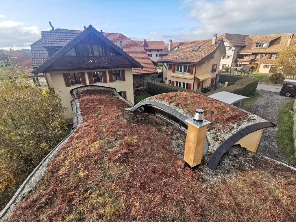 Toiture végétalisée au sedum, bandes de gravier en périphérie et lanterneau cintré habillé de métal sombre